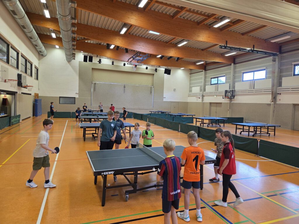 24805d26-0aca-471f-ab34-36ef85864a1e